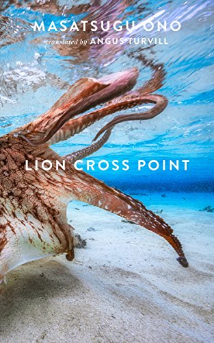 Stock image for Lion Cross Point for sale by More Than Words