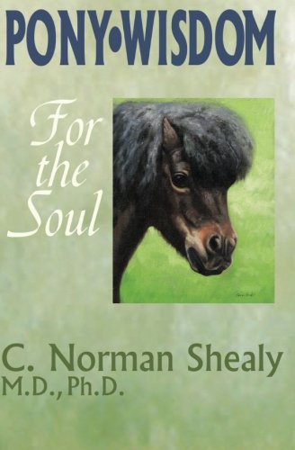 Stock image for Pony Wisdom for the Soul for sale by Better World Books