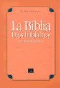 9781931952248: Spanish Giant Print Bible-VP-Catholic