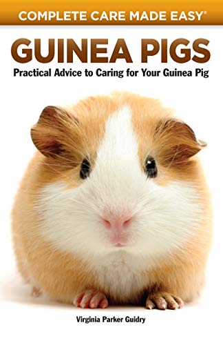 Beispielbild fr Guinea Pigs: Complete Care Made Easy-Practical Advice To Caring For your Guinea Pig zum Verkauf von Gulf Coast Books