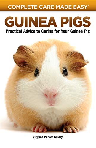 Stock image for Guinea Pigs: Complete Care Made Easy-Practical Advice To Caring For your Guinea Pig for sale by Gulf Coast Books