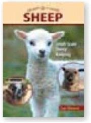 Imagen de archivo de Sheep : Small-Scale Sheep Keeping for Pleasure and Profit a la venta por Better World Books