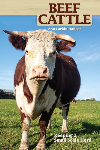 Stock image for Beef Cattle: Keeping a Small-Scale Herd (CompanionHouse Books) Practical, Easy-to-Follow Beginners Advice on Purchasing Cows, Fencing, Feeding, Handling, Breeding, Processing, and More (Hobby Farm) for sale by Goodwill Books
