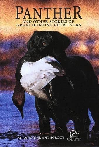 Stock image for Panther: And Other Stories of Great Hunting Retrievers: Original Stories About the Special Bonds Between Man and Dog for sale by Wonder Book