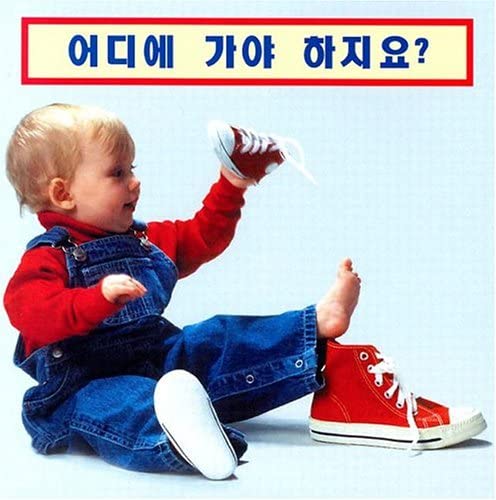 9781932065831: Where Does It Go? (Korean edition) (Photoflaps Boardbooks)