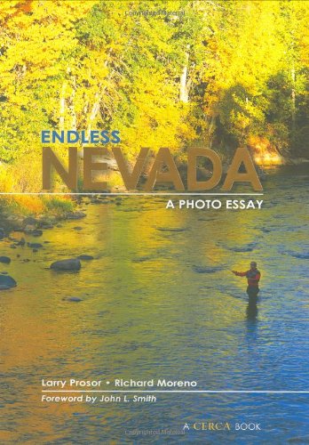 Stock image for Endless Nevada for sale by ThriftBooks-Dallas