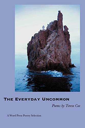 Stock image for The Everyday Uncommon for sale by Wonder Book