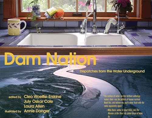 Imagen de archivo de Dam Nation : Dispatches from the Water Underground a la venta por Better World Books: West