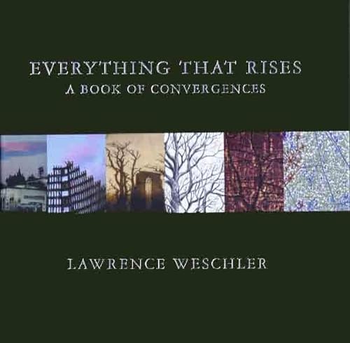 9781932416862: Everything That Rises: A Book of Convergences
