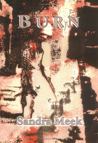 Stock image for Burn for sale by Bookmans