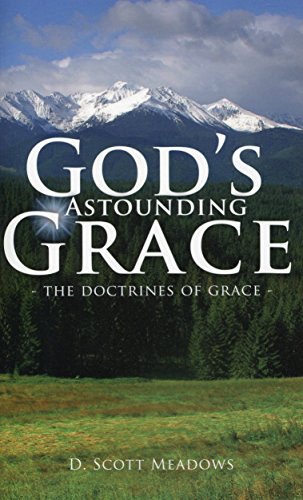 Stock image for God's Astounding Grace: The Doctrines of Grace for sale by ThriftBooks-Dallas
