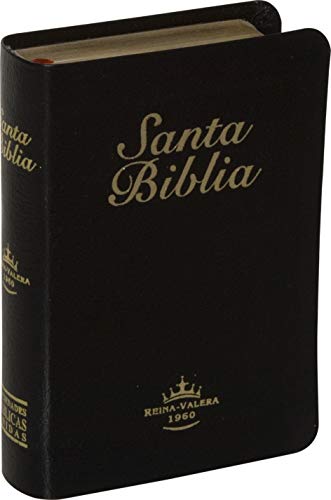 la biblia reina valera 1960 pdf la biblia reina valera 1960 pdf