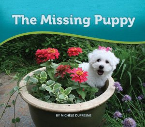 Beispielbild fr Missing Puppy, The zum Verkauf von Wonder Book