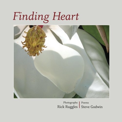 Beispielbild fr Finding Heart zum Verkauf von ThriftBooks-Dallas