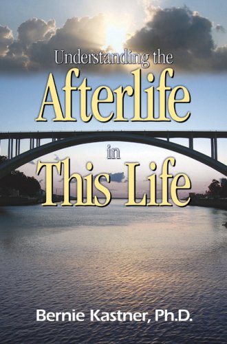 Stock image for Understanding the Afterlife in This Life for sale by Better World Books