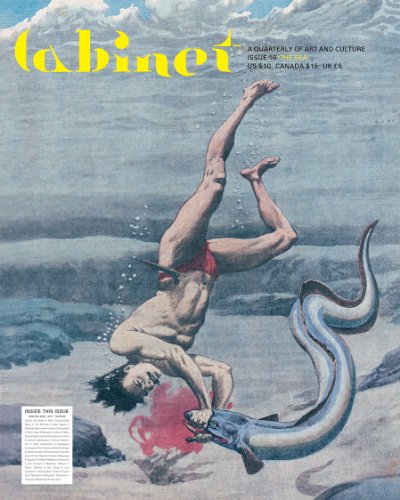 Imagen de archivo de Cabinet 16: The Sea (A Quarterly Of Art And Culture) a la venta por -OnTimeBooks-