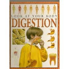 Beispielbild fr Digestion (Look at Your Body) zum Verkauf von HPB-Ruby