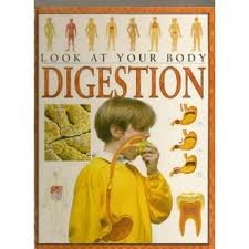 Imagen de archivo de Digestion (Look at Your Body) a la venta por HPB-Ruby