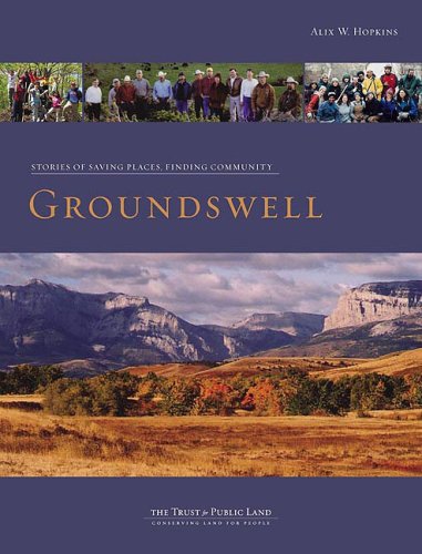 Stock image for Groundswell: Stories of Saving Places, Finding Community for sale by More Than Words