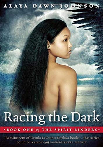 Beispielbild fr Racing the Dark zum Verkauf von Robinson Street Books, IOBA