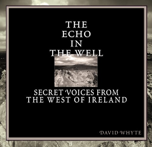 Beispielbild fr The Echo in the Well zum Verkauf von SecondSale