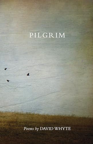 Beispielbild fr Pilgrim (Revised) (Revised) zum Verkauf von WorldofBooks