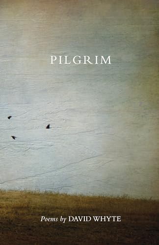 Stock image for Pilgrim (Revised) (Revised) for sale by Zoom Books Company