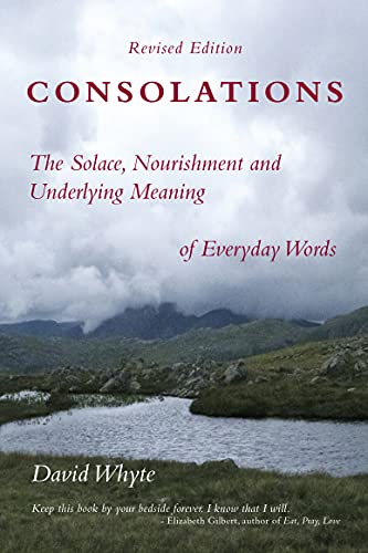 Beispielbild fr Consolations: The Solace, Nourishment and Underlying Meaning of Everyday Words zum Verkauf von BooksRun
