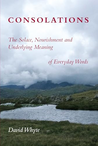 Imagen de archivo de Consolations: The Solace, Nourishment and Underlying Meaning of Everyday Words a la venta por Seattle Goodwill