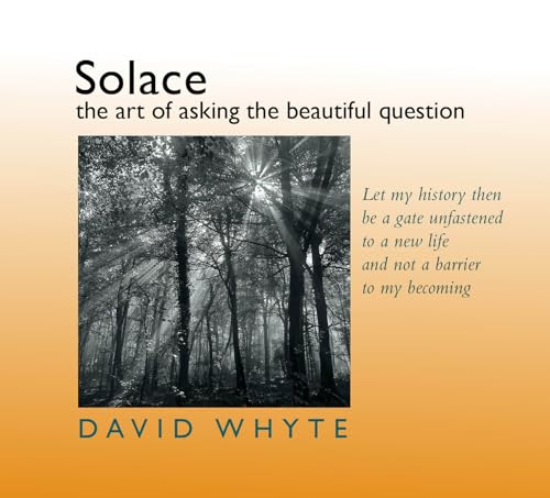 Beispielbild fr Solace: The Art of Asking the Beautiful Question zum Verkauf von The Book Corner