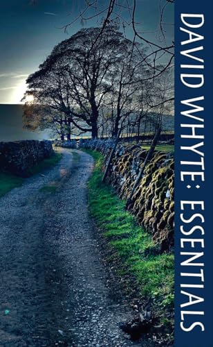 Stock image for David Whyte Essentials for sale by New Legacy Books