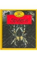Spiders (Keeping Minibeasts) (9781932889178) by Henwood, Chris