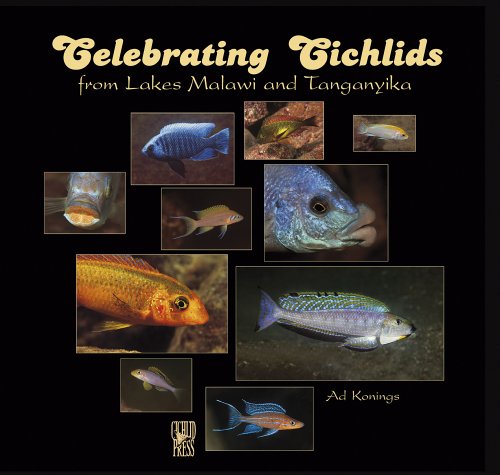 Celebrating Cichlids from Lakes Malawi and Tanganyika - Ad Konings