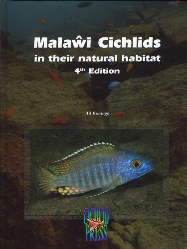 Stock image for Malawi Chiclids in their natural habitat 4th edition for sale by Bay Used Books