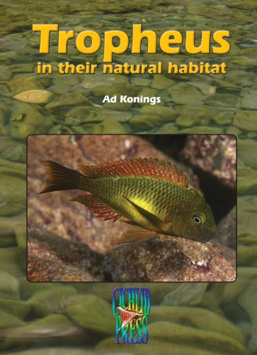 TROPHEUS in their Natural Habitat (Tanganyika Cichlids) - Ad Konings