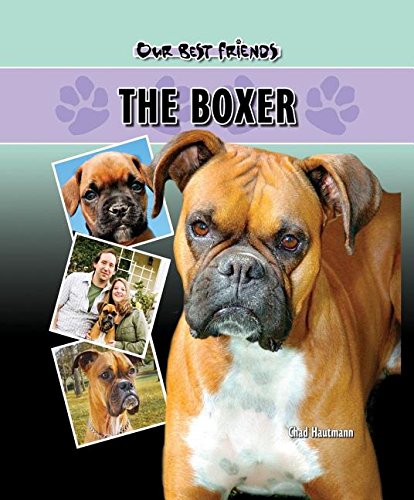 Stock image for The Boxer for sale by Better World Books