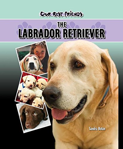 Stock image for The Labrador Retriever for sale by Better World Books: West