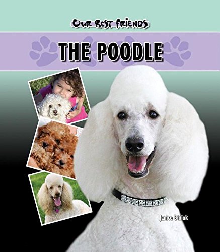Stock image for The Poodle (Our Best Friends) for sale by Blue Vase Books