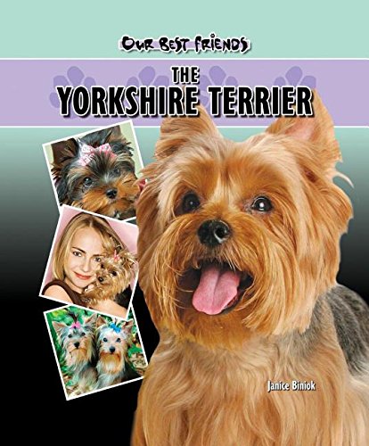 Beispielbild fr The Yorkshire Terrier (Our Best Friends) zum Verkauf von HPB-Emerald