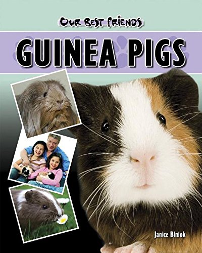 Imagen de archivo de Guinea Pigs a la venta por Better World Books