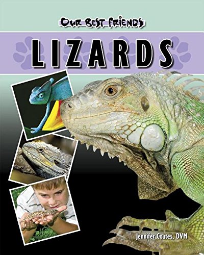 9781932904314: Lizards (Our Best Friends)