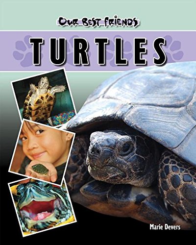 Beispielbild fr Turtles zum Verkauf von Better World Books