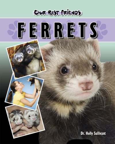 9781932904352: Ferrets (Our Best Friends)