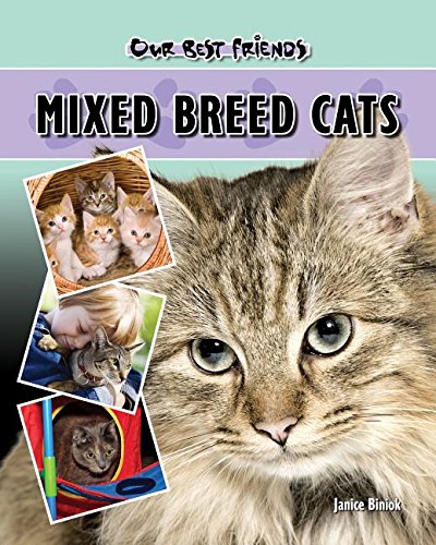 Imagen de archivo de Mixed Breed Cats (Our Best Friends) a la venta por Irish Booksellers
