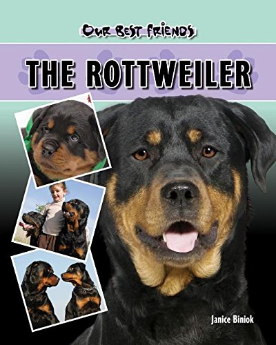 Beispielbild fr The Rottweiler zum Verkauf von Better World Books