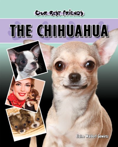 Beispielbild fr The Chihuahua zum Verkauf von Better World Books