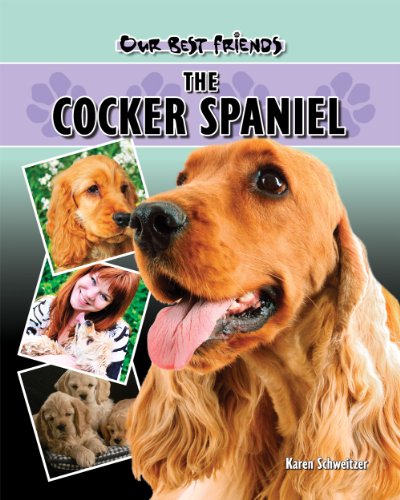 Beispielbild fr The Cocker Spaniel zum Verkauf von Better World Books