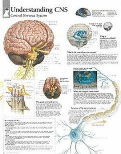 9781932922042: Understanding CNS Laminated Poster