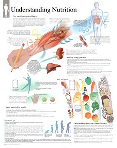 Understanding Nutrition chart: Laminated Wall Chart (9781932922141) by [???]