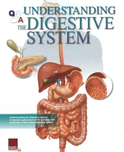 9781932922318: Understand the Digestive System (Flip Charts)